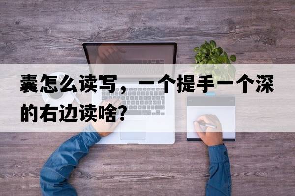 囊怎么讀寫(xiě)，一個(gè)提手一個(gè)深的右邊讀啥？
