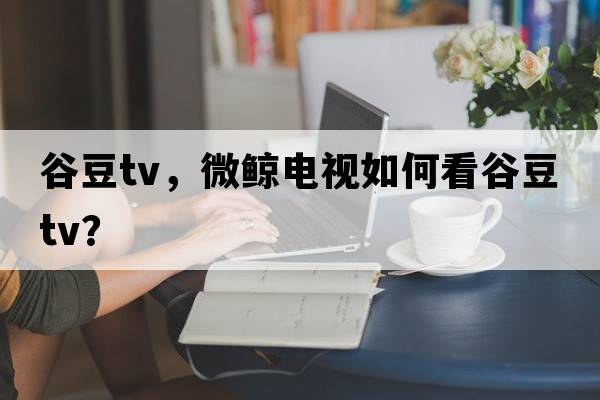 劉詩(shī)雯球拍配置，為什么每次比賽前上場(chǎng)伊藤美誠都要問(wèn)對手要球拍看來(lái)看去？球拍還需要她檢查嗎？