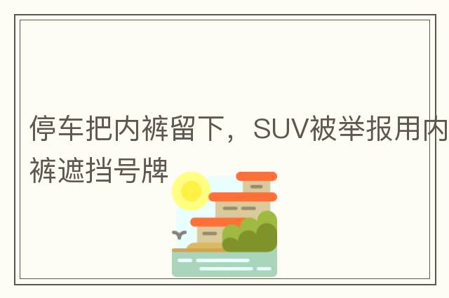 停車(chē)把內褲留下，SUV被舉報用內褲遮擋號牌
