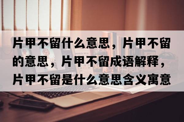 片甲不留什么意思，片甲不留的意思，片甲不留成語(yǔ)解釋?zhuān)撞涣羰鞘裁匆馑己x寓意