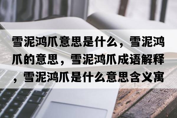 雪泥鴻爪意思是什么，雪泥鴻爪的意思，雪泥鴻爪成語(yǔ)解釋?zhuān)┠帏欁κ鞘裁匆馑己x寓意