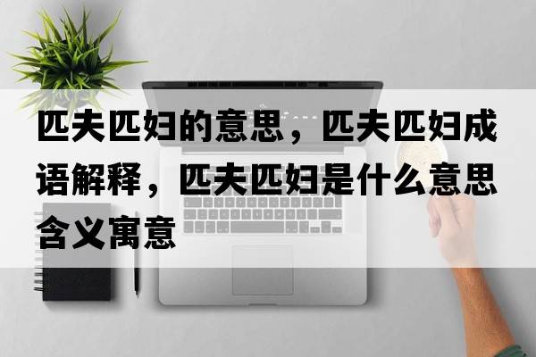匹夫匹婦的意思，匹夫匹婦成語(yǔ)解釋?zhuān)シ蚱D是什么意思含義寓意