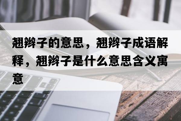 翹辮子的意思，翹辮子成語(yǔ)解釋?zhuān)N辮子是什么意思含義寓意