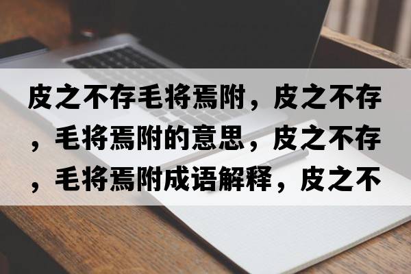 皮之不存毛將焉附，皮之不存，毛將焉附的意思，皮之不存，毛將焉附成語(yǔ)解釋?zhuān)ぶ淮?，毛將焉附是什么意思含義寓意