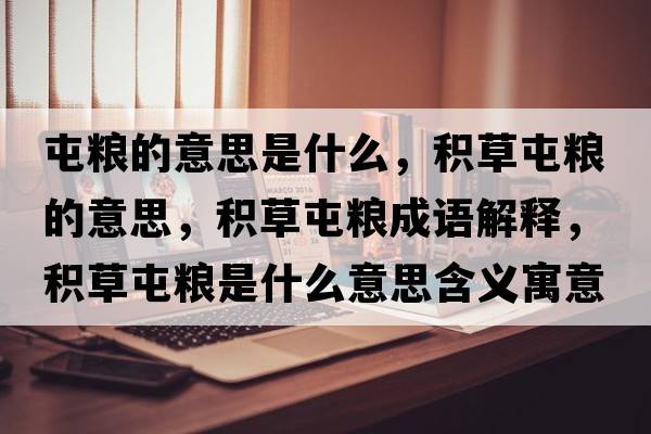 屯糧的意思是什么，積草屯糧的意思，積草屯糧成語(yǔ)解釋?zhuān)e草屯糧是什么意思含義寓意