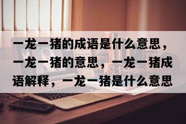 一龍一豬的成語(yǔ)是什么意思，一龍一豬的意思，一龍一豬成語(yǔ)解釋?zhuān)积堃回i是什么意思含義寓意