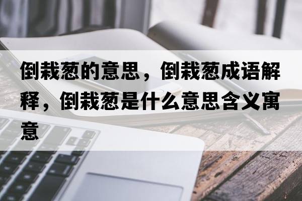 倒栽蔥的意思，倒栽蔥成語(yǔ)解釋?zhuān)乖允[是什么意思含義寓意