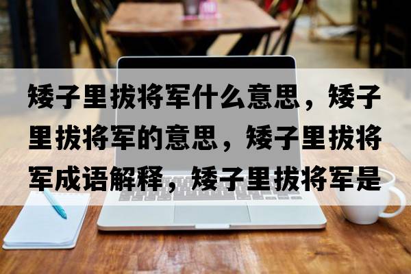 矮子里拔將軍什么意思，矮子里拔將軍的意思，矮子里拔將軍成語(yǔ)解釋?zhuān)永锇螌④娛鞘裁匆馑己x寓意
