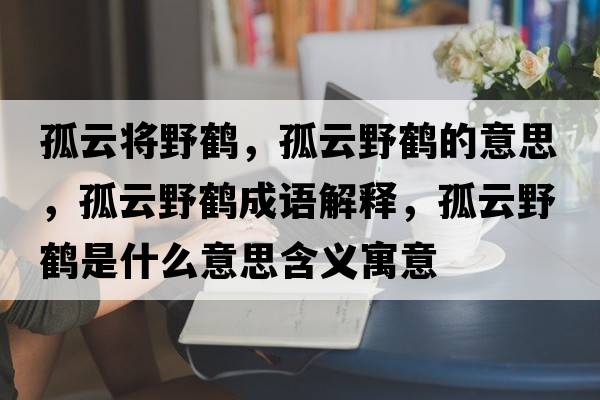 孤云將野鶴，孤云野鶴的意思，孤云野鶴成語(yǔ)解釋?zhuān)略埔苞Q是什么意思含義寓意