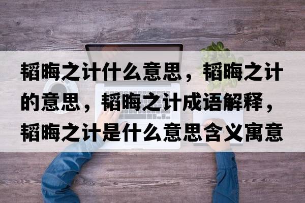 韜晦之計什么意思，韜晦之計的意思，韜晦之計成語(yǔ)解釋?zhuān)w晦之計是什么意思含義寓意