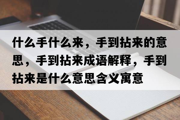 什么手什么來(lái)，手到拈來(lái)的意思，手到拈來(lái)成語(yǔ)解釋?zhuān)值侥閬?lái)是什么意思含義寓意