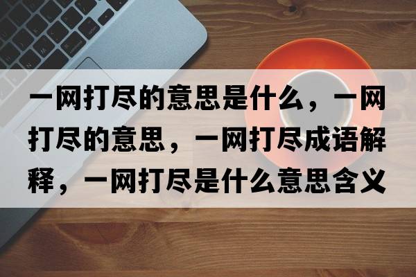 一網(wǎng)打盡的意思是什么，一網(wǎng)打盡的意思，一網(wǎng)打盡成語(yǔ)解釋?zhuān)痪W(wǎng)打盡是什么意思含義寓意