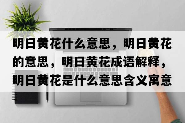 明日黃花什么意思，明日黃花的意思，明日黃花成語(yǔ)解釋?zhuān)魅拯S花是什么意思含義寓意