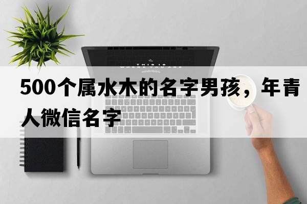500個(gè)屬水木的名字男孩，年青人微信名字