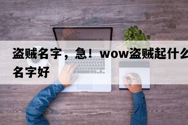 盜賊名字，急！WOW盜賊起什么名字好