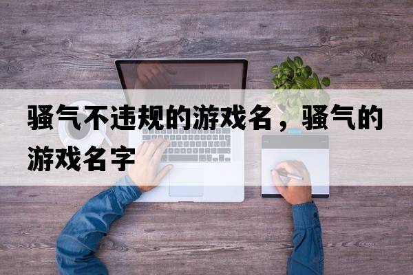 騷氣不違規的游戲名，騷氣的游戲名字