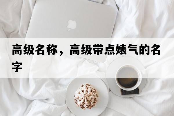高級名稱(chēng)，高級帶點(diǎn)婊氣的名字