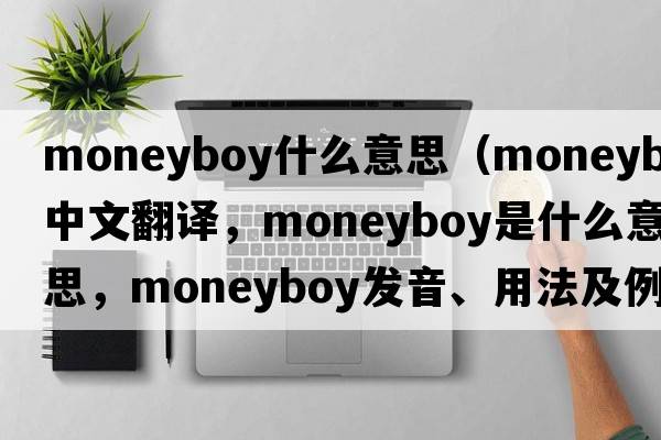 moneyboy什么意思（moneyboy中文翻譯，moneyboy是什么意思，moneyboy發(fā)音、用法及例句）