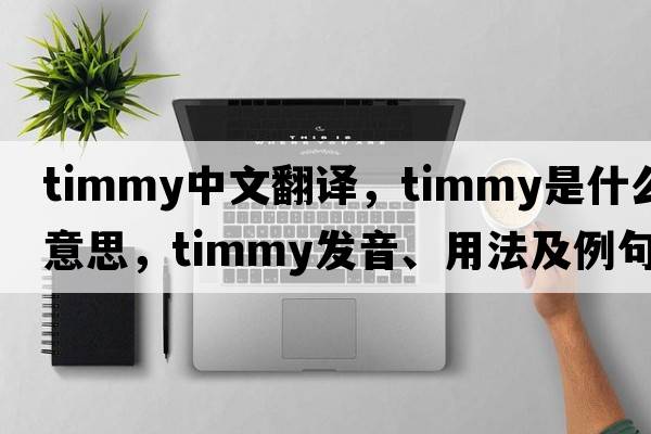 Timmy中文翻譯，Timmy是什么意思，Timmy發(fā)音、用法及例句