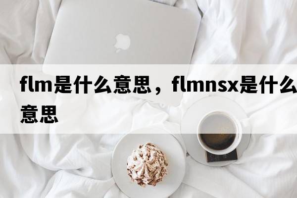 flm是什么意思，flmnsx是什么意思