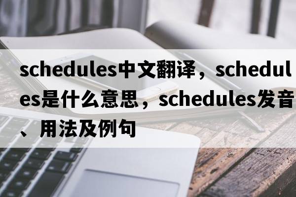 schedules中文翻譯，schedules是什么意思，schedules發(fā)音、用法及例句