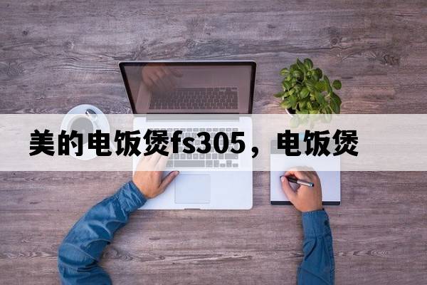 美的電飯煲fs305，電飯煲