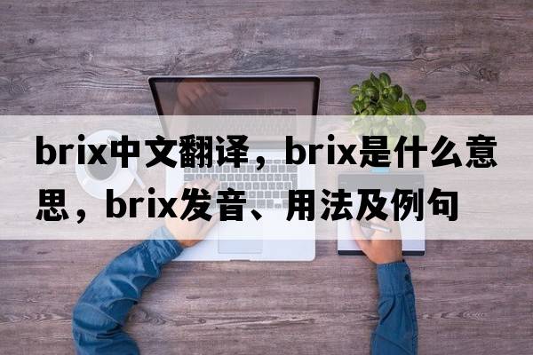 Brix中文翻譯，Brix是什么意思，Brix發(fā)音、用法及例句