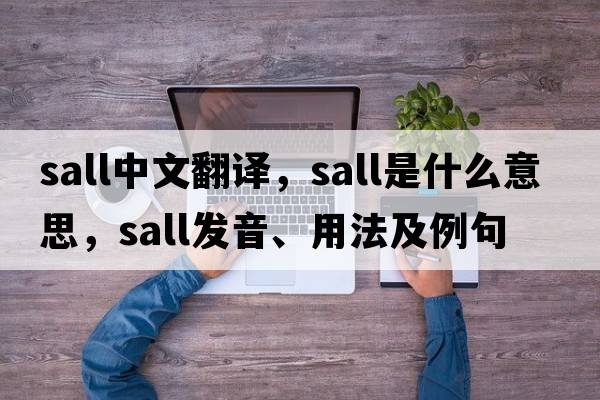 Sall中文翻譯，Sall是什么意思，Sall發(fā)音、用法及例句