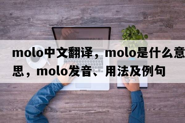 molo中文翻譯，molo是什么意思，molo發(fā)音、用法及例句