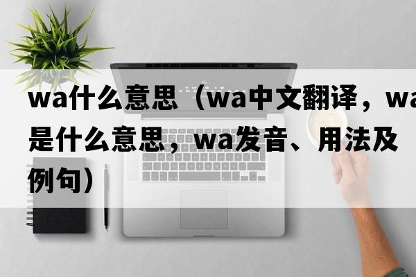 wa什么意思（wa中文翻譯，wa是什么意思，wa發(fā)音、用法及例句）