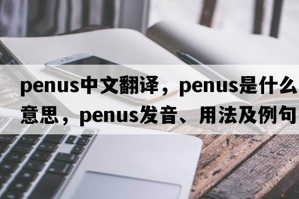 penus中文翻譯，penus是什么意思，penus發(fā)音、用法及例句
