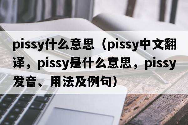 pissy什么意思（pissy中文翻譯，pissy是什么意思，pissy發(fā)音、用法及例句）