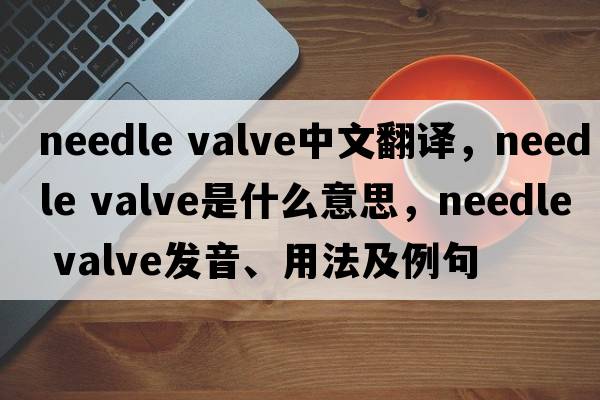 needle valve中文翻譯，needle valve是什么意思，needle valve發(fā)音、用法及例句