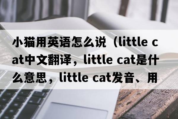 小貓用英語(yǔ)怎么說(shuō)（little cat中文翻譯，little cat是什么意思，little cat發(fā)音、用法及例句）