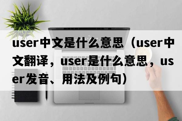 user中文是什么意思（user中文翻譯，user是什么意思，user發(fā)音、用法及例句）