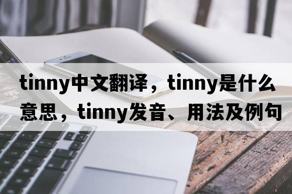 tinny中文翻譯，tinny是什么意思，tinny發(fā)音、用法及例句