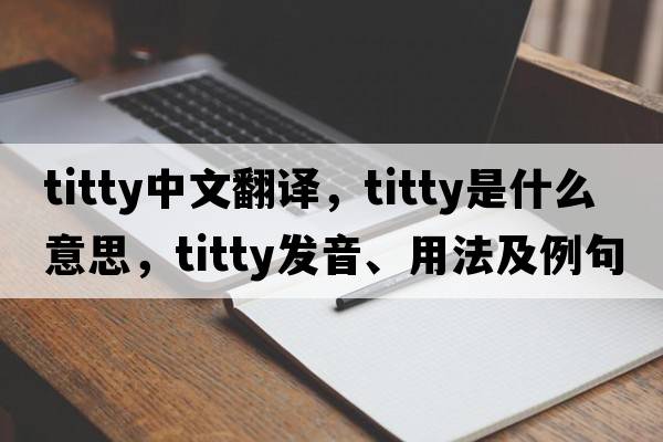 titty中文翻譯，titty是什么意思，titty發(fā)音、用法及例句