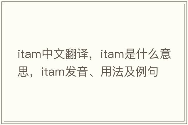 itam中文翻譯，itam是什么意思，itam發(fā)音、用法及例句