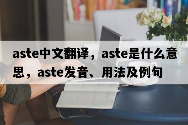 ASTE中文翻譯，ASTE是什么意思，ASTE發(fā)音、用法及例句