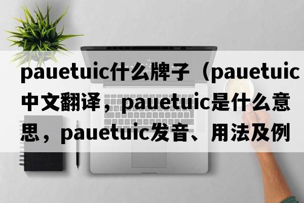 pauetuic什么牌子（pauetuic中文翻譯，pauetuic是什么意思，pauetuic發(fā)音、用法及例句）