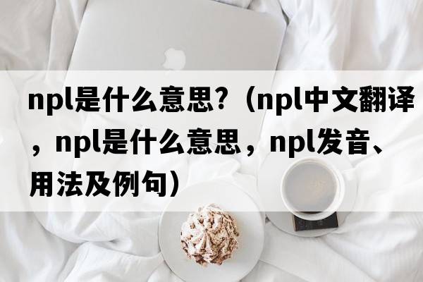 npl是什么意思?（npl中文翻譯，npl是什么意思，npl發(fā)音、用法及例句）