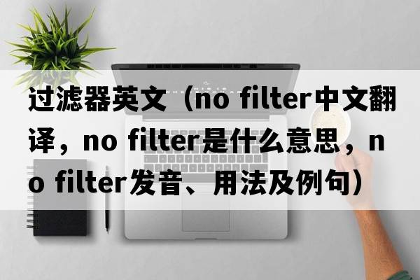 過(guò)濾器英文（no filter中文翻譯，no filter是什么意思，no filter發(fā)音、用法及例句）