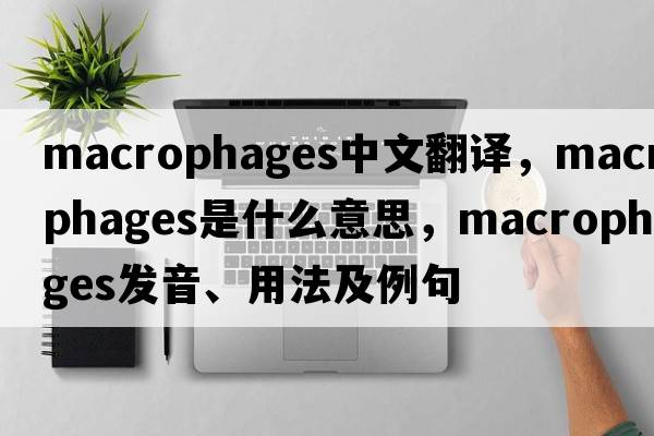 macrophages中文翻譯，macrophages是什么意思，macrophages發(fā)音、用法及例句