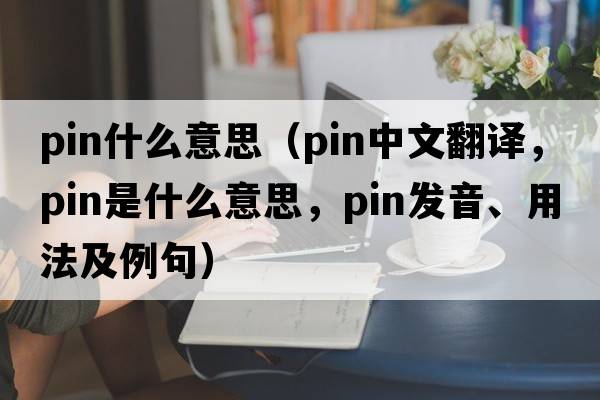 pin什么意思（pin中文翻譯，pin是什么意思，pin發(fā)音、用法及例句）
