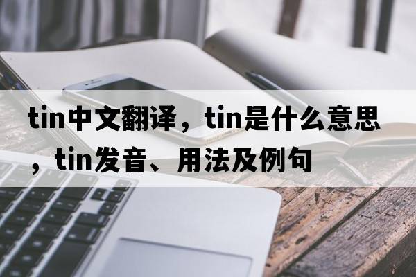 tin中文翻譯，tin是什么意思，tin發(fā)音、用法及例句