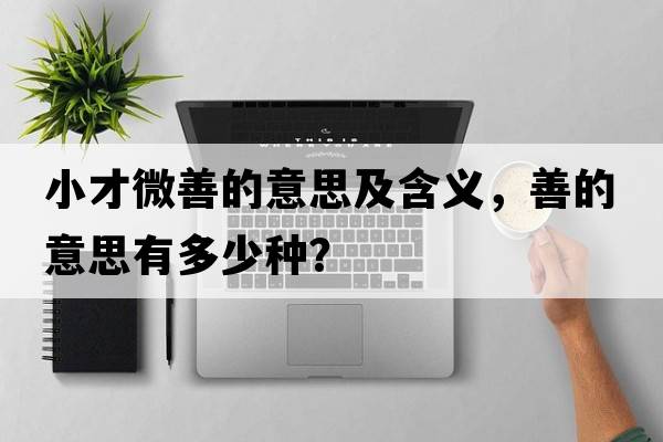 小才微善的意思及含義，善的意思有多少種？