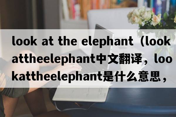look at the elephant（lookattheelephant中文翻譯，lookattheelephant是什么意思，lookattheelephant發(fā)音、用法及例句）