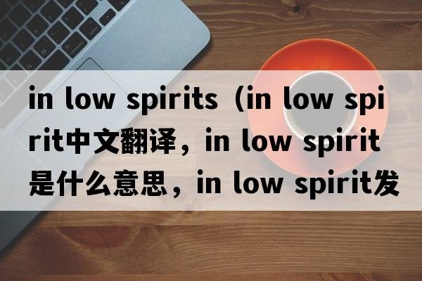 in low spirits（in low spirit中文翻譯，in low spirit是什么意思，in low spirit發(fā)音、用法及例句）