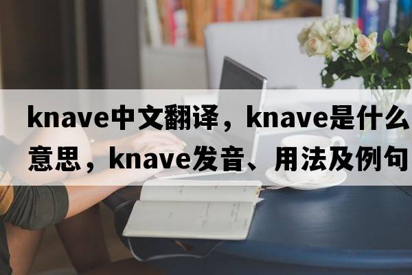 knave中文翻譯，knave是什么意思，knave發(fā)音、用法及例句