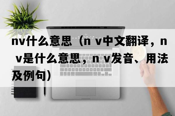 nv什么意思（n v中文翻譯，n v是什么意思，n v發(fā)音、用法及例句）